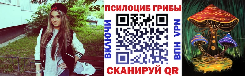 где купить наркотик  OMG онион  Галлюциногенные грибы Psilocybe  Прокопьевск 